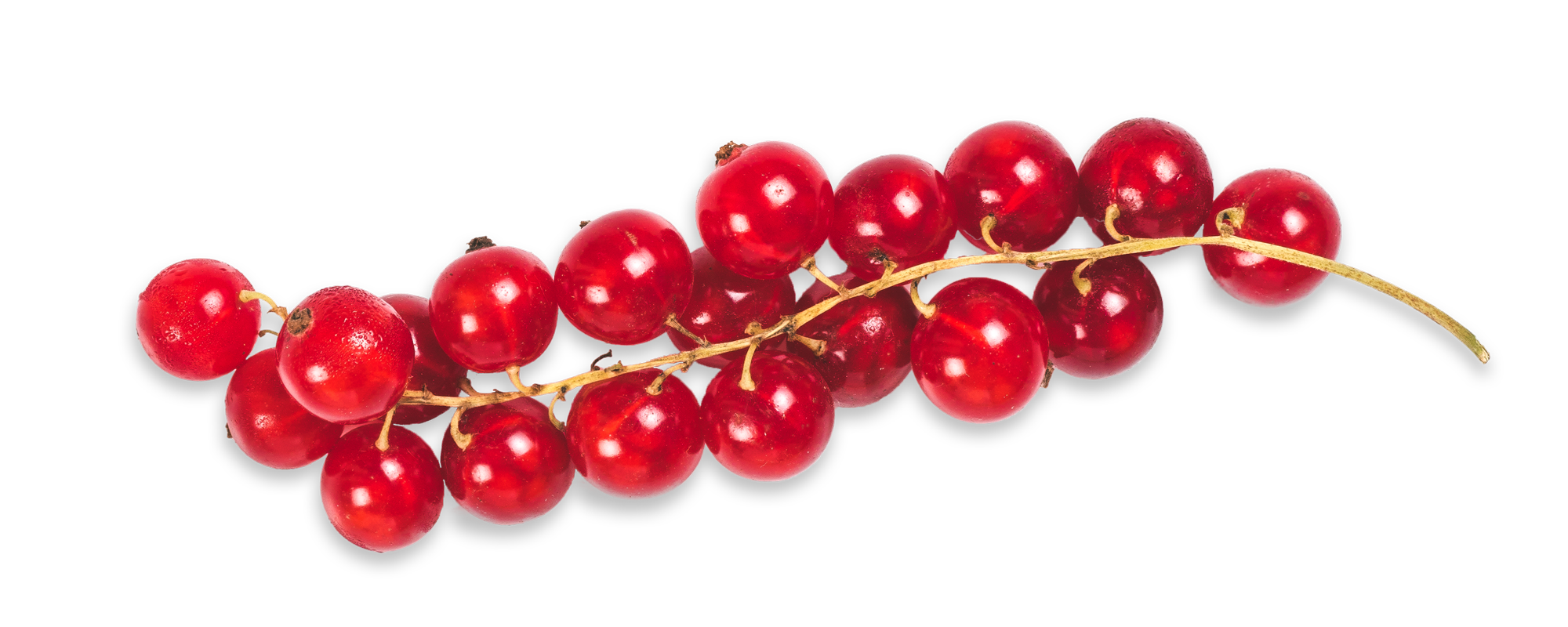 8e0afac3e8514a08c81ec5becdf9b1d37d35a207